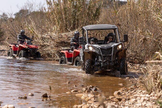 Algarve Buggy or Quad Tour Review - Safety and Insurance