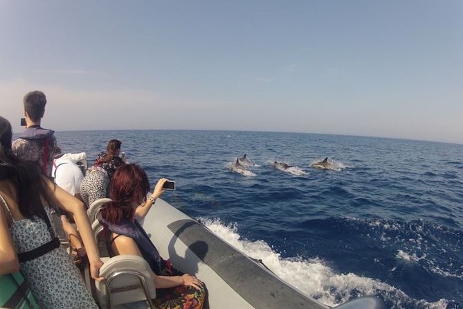 Algarve Dolphin Watching & Marine Life Eco Tour - Tour Duration and Logistics
