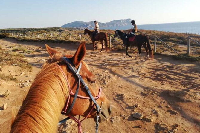 Alghero: Guided Horseback Ride at Lake Baratz & Porto Ferro - Cancellation and Booking Information