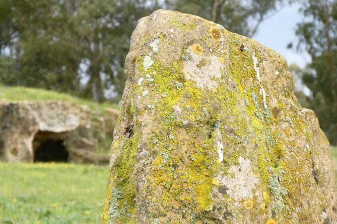 Alghero: Private Archaeological Tour (Transfer Included) With Local Guide - Pricing and Availability