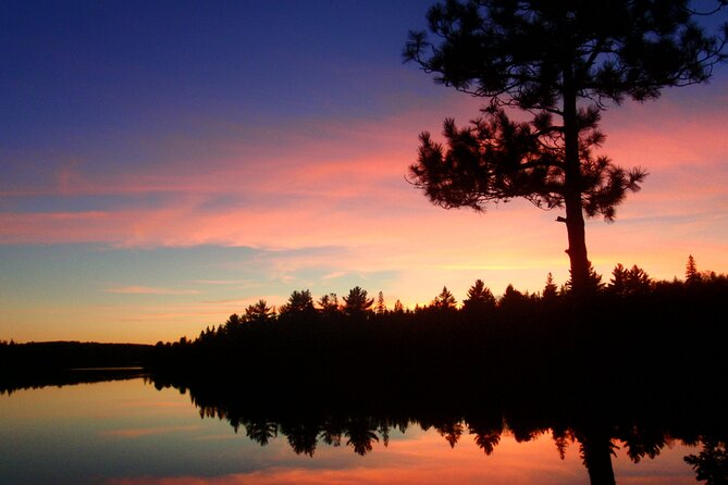 Algonquin Park Luxury 3-Day Camping & Canoeing: Moose/Beaver/Turtle Adventure - Group Size and Accessibility