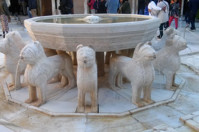 Alhambra and Granada City Center Sightseeing Tour! - Accessibility and Additional Info