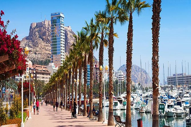 Alicante Private Walking Tour - Meeting Information