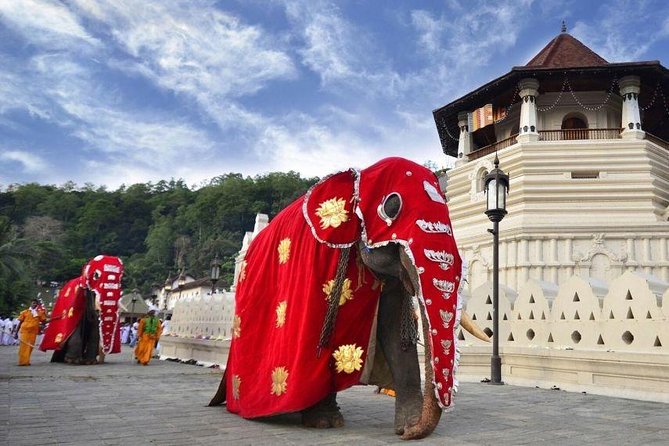 All Inclusive Kandy Private Day Tour From Colombo and Negombo - Key Attractions