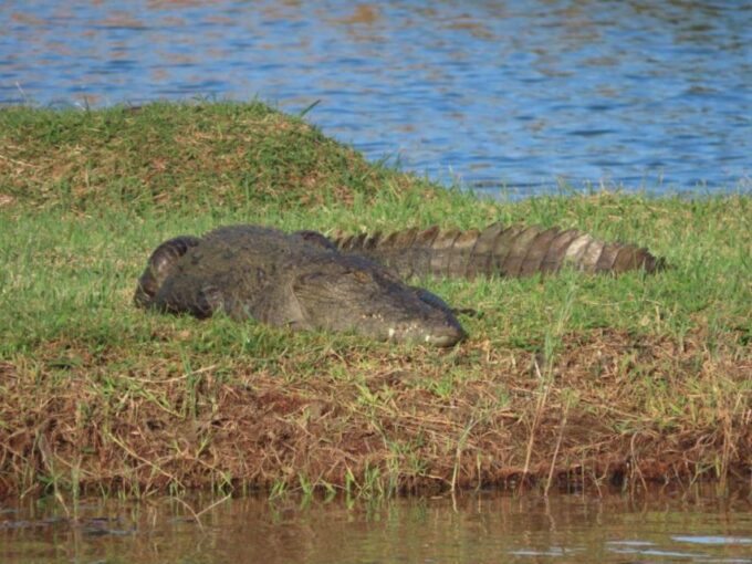All Inclusive Minneriya/Kaudulla/Hurulu National Park Safari - Frequently Asked Questions