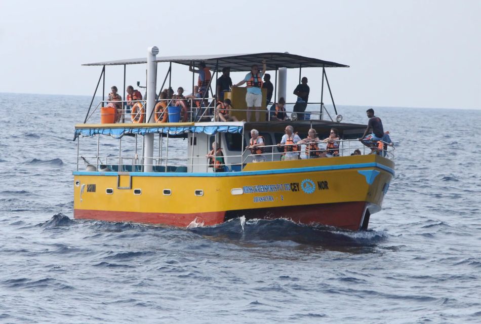 All Inclusive Mirissa Whale and Dolphin Watching Boat Ride - Itinerary Details