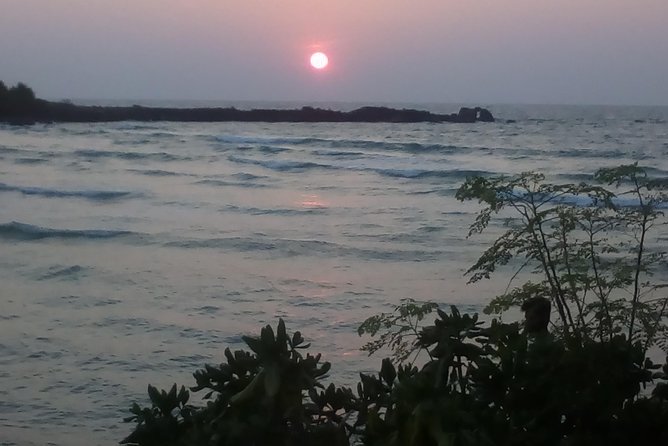 All Inclusive Private Day Trip to Southern Srilanka Galle, Bentota - Inclusions and Amenities