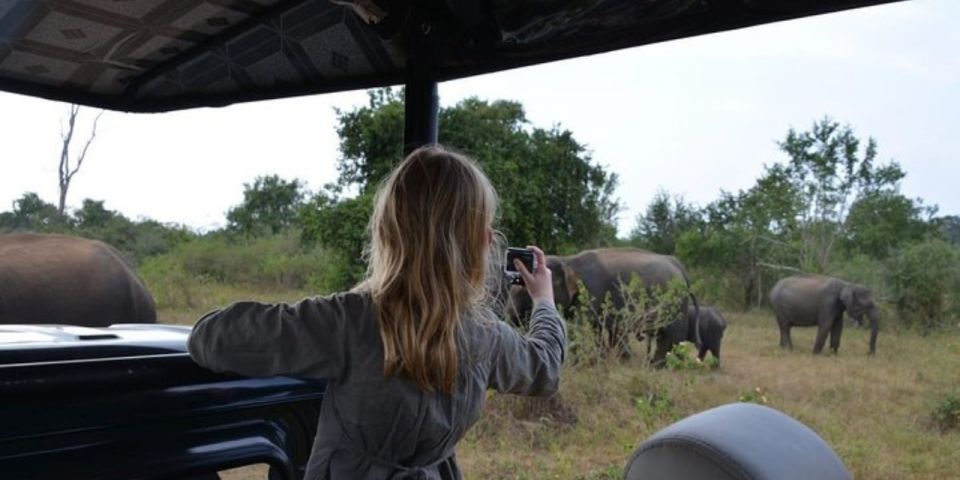 All Inclusive Udawalawe National Park Safari, With Lunch! - Wildlife Experience