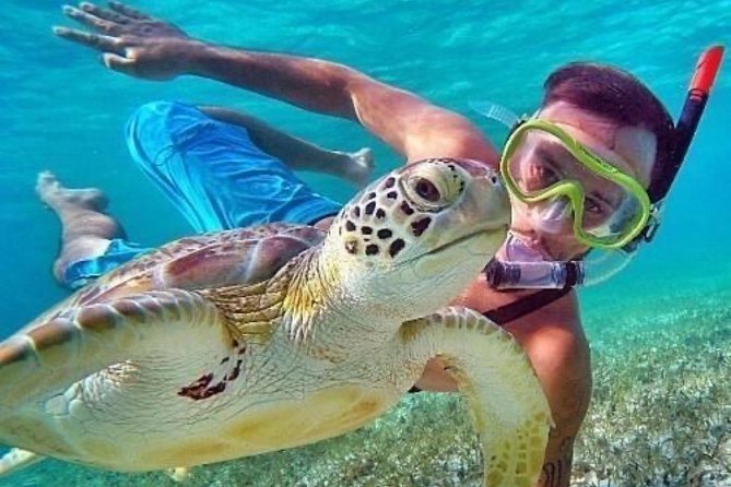 All Ticket Inclusive : Bloo Lagoon Snorkeling With Tegalalang Jungle Swing - Pickup Locations