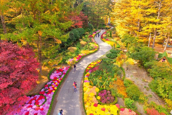 Alpaca World Tour With Nami Island & Optional Railbike or Garden - Optional Activities Overview