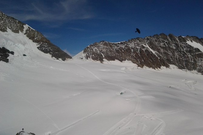 Alpine Heights: Exclusive Small Group Journey to Jungfraujoch - Duration