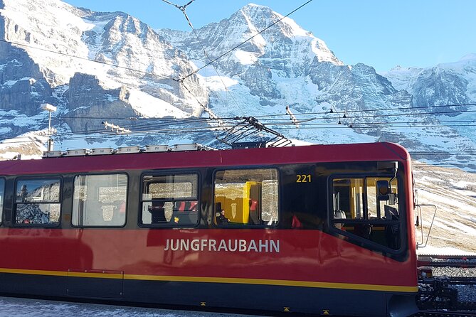 Alpine Majesty: From Basel to Jungfraujoch Exclusive Private Tour - Guide Expertise