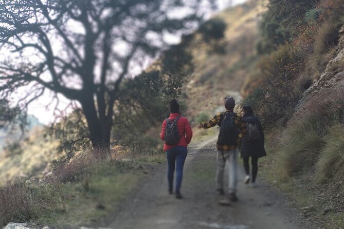 Alpujarra Private Daytrip From Granada - Insights Into Local Life at Casa Museo Alpujarreña