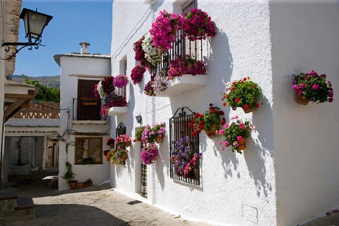 Alpujarras Day Trip Private or Small Tour - Trekking Through Terraced Farmlands