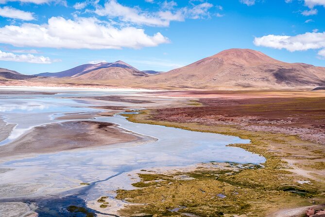 Altiplanic Lagoons and Piedras Rojas - Bilingual Guide Insights