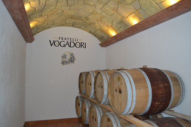 Amarone Della Valpolicella Wine Experience - Meet the Vogadori Family - Valpolicella Wine and Olive Oil Tasting