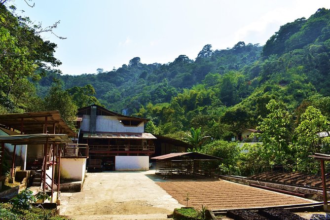 Amazing Full Day Tour to Minca With a Private Guide - Customer Reviews