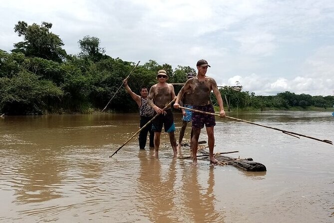 Amazon Paradise Adventure 3/ Days 2/ Nights 360 Usd - Wildlife Observation