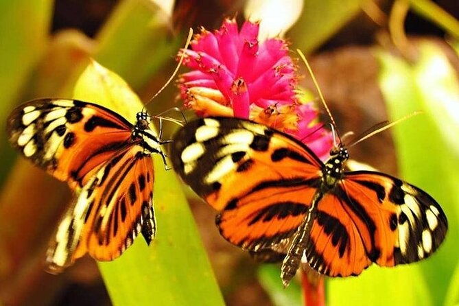 Amazon River Adventure Full Day Tour - Additional Information