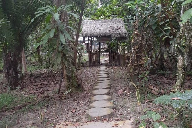 Amazon River Expeditions With Guide for 5 Days 4 Night Ecolodge - Day 1 Highlights
