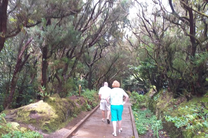 Anagas Biosphere Reserve VIP TOUR - Accessibility and Requirements
