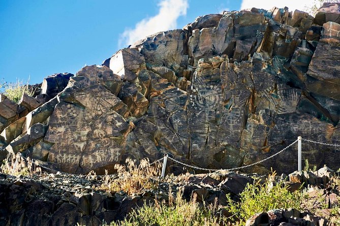 Ancient Petroglyphs of Tanbaly - UNESCO World Heritage - Tour Highlights and Itinerary