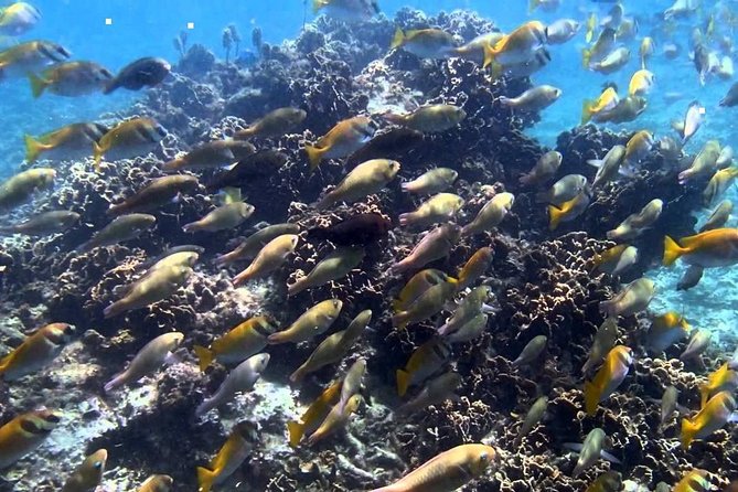 Ang Thong National Marine Park Full Day Tour - Daily Schedule