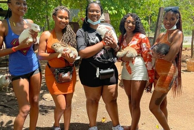 Animal Farm (Mini Zoo) , Bamboo Rafting and Limestone Massage Private Tour - Tour Highlights