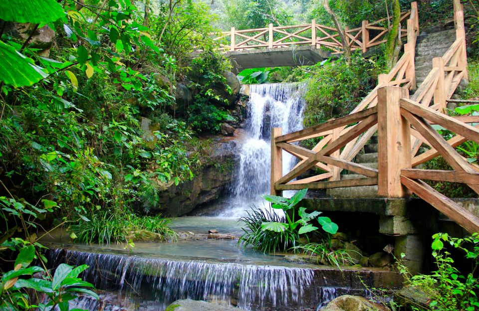 Anxi Tea Garden and Hong'En Rock From Xiamen - Anxi: Birthplace of Tieguanyin Oolong