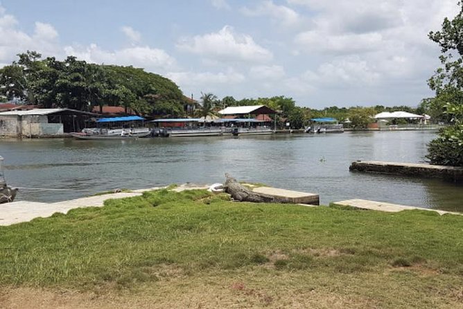 Appleton Estate Rum, YS Falls, Black River Safari / Floyds Pelican Bar Tour - Guest Reviews