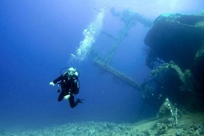 Aqaba Private Scuba Diving Activity With Pick up - Customer Experience