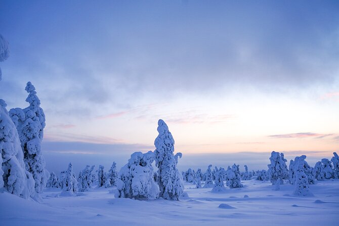 Arctic Adventure Through Magical Frozen Forests of Riisitunturi - Guided Tour Highlights