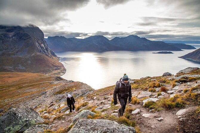 Arctic Landscapes Hiking Tour - Sightseeing & Snowshoeing, Tromsø - Tour Experience