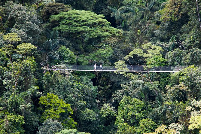 Arenal Hanging Bridges Nature Tour - Inclusions and Exclusions