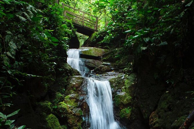 Arenal Jungle Trekking & Cultural Experience - Trek Details