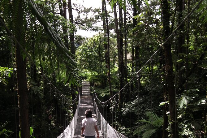 Arenal Observatory Lodge & Trails - Amenities and Facilities