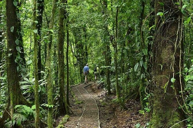 Arenal Observatory Trails Admission Ticket - Spotting Wildlife on the Trails