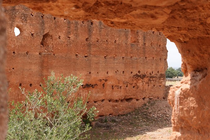 Argan Forest, Tea Time at a Berbers Family & Visit of an Argan Cooperative. - Insights Into Berber Culture