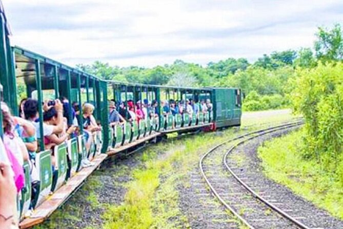 Argentine and Brazil Falls Private Tour With Fast-Track Tickets - Accessibility and Participation