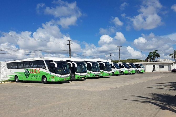 Arrival Transfer From João Pessoa Airport to Conde - PB - Booking Information