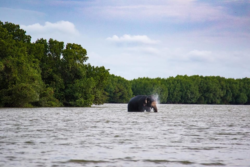 Arugambay :Pottuvil Lagoon Boat Safari Eco Tours - Wildlife and Nature