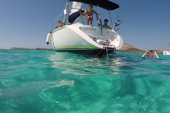 Asinara Full Day Sailboat Tour From Stintino - What to Expect