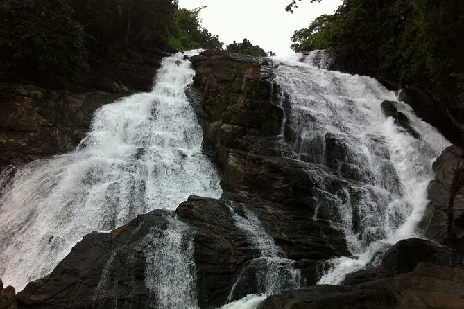 Athirapally Waterfalls From Cochin - Private Tour Details