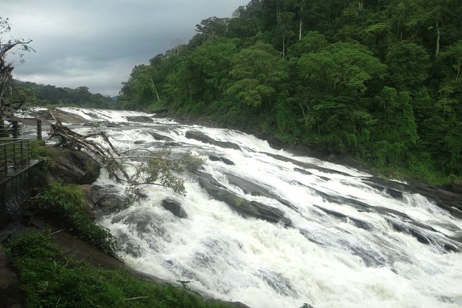 Athirappally & Vazhachal Waterfall Tour With Lunch - Exploring Vazhachal Falls