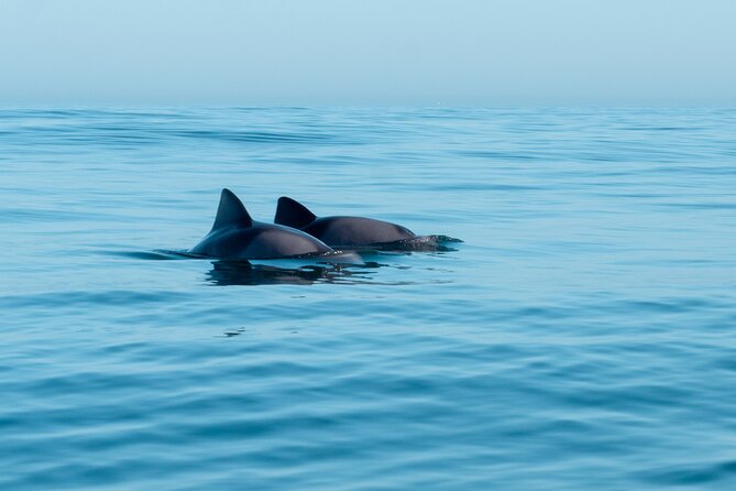 Atlantic Outlook Kayak Tour Cape Town - Duration of the Tour