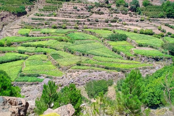 Atlas Mountain & Berber Villages and Waterfalls Day Trip From Marrakech - Adventure Activities