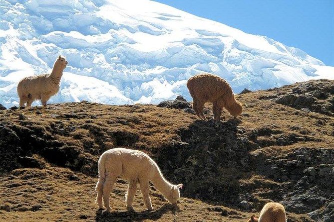 Ausangate Sibinacocha Trek (6 Days 5 Nights) - Difficulty and Accessibility