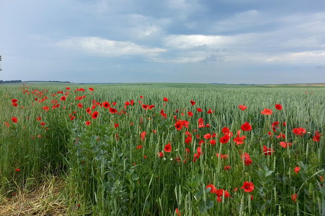Australian Private Somme Tour Including Sir John Monash Centre - Comfortable Transportation