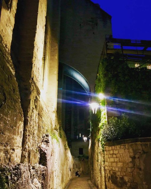 Avignon: The Night Owl Between Past and Present - Secrets Revealed at Palais Des Papes