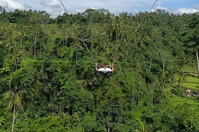 Bali Car Charter English Speaking Driver for 2 Days - Essential Inclusions and Amenities